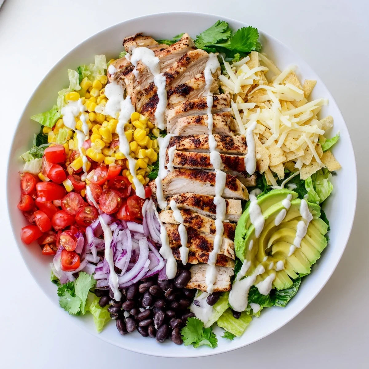 Vibrant plated Southwestern chicken salad featuring spiced grilled chicken breasts over romaine lettuce with juicy tomatoes, red peppers, and creamy yogurt dressing